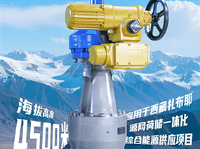 4500米！良固閥門集團(tuán)服務(wù)全球海拔最高的光熱電站